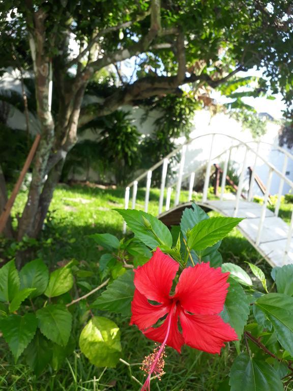 Secret Recreio Villa Рио де Жанейро Екстериор снимка